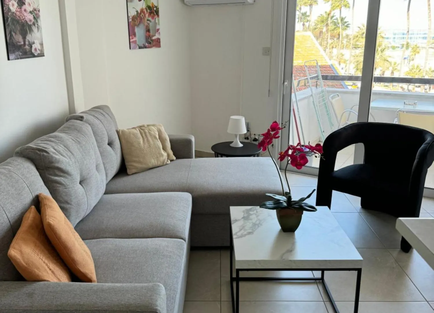 Alex Beach Apartment 203 contacts